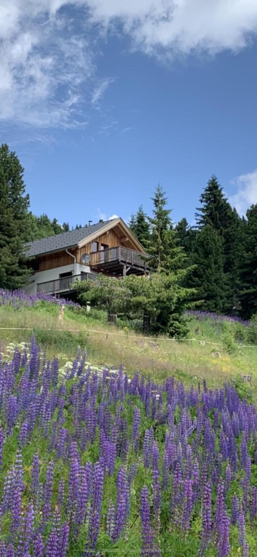 Chalet Claassen Turracher Hohe Екстериор снимка